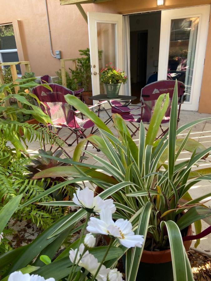 Mermaid'S Cottage West Palm Beach Kültér fotó